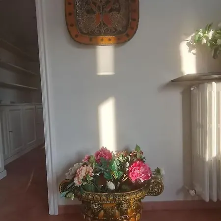 Shiverty Apartment
